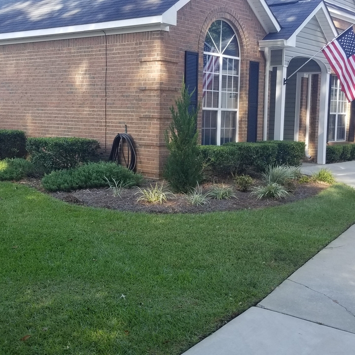 Trimmed Hedges make the yard complete artwork.