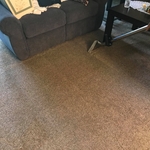 Carpet Cleaning