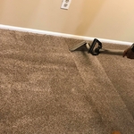 Carpet Cleaning