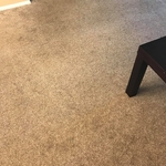 Carpet Cleaning
