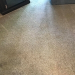 Carpet Cleaning