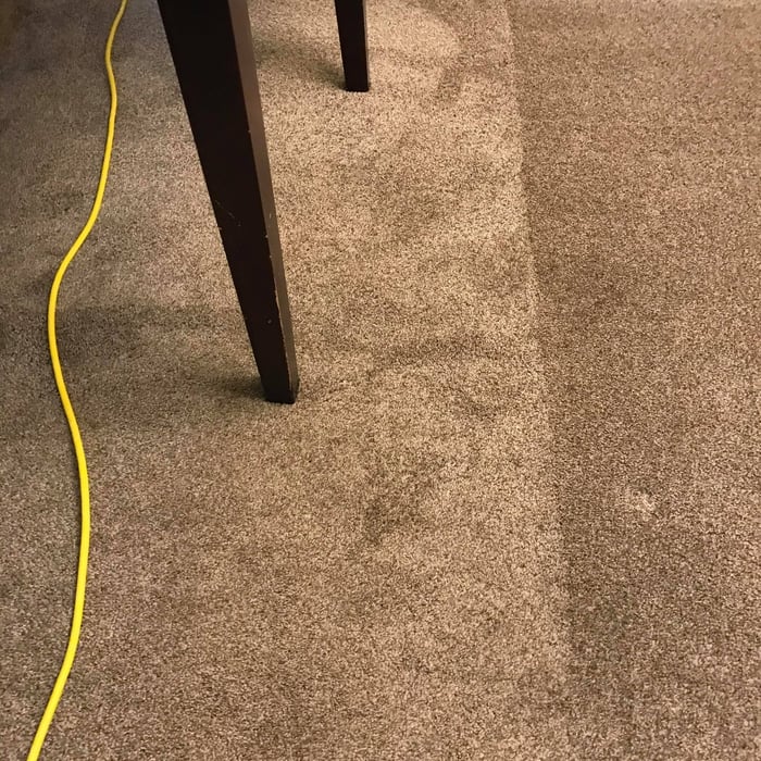 Carpet Cleaning