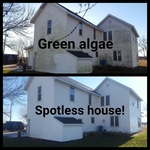 Black Mold/ Algae on Vinyl Siding
