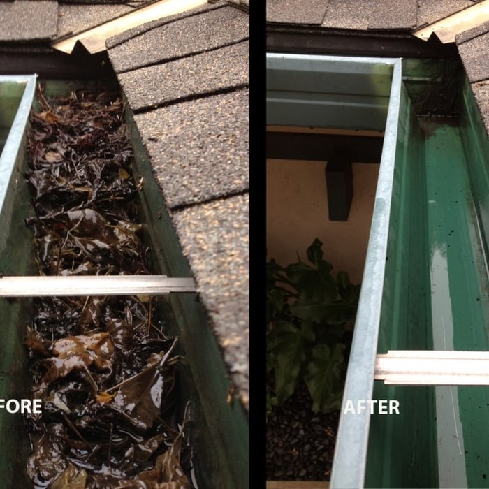 Gutter cleaning