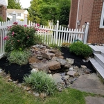 Water Feature