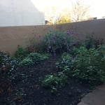 MariannFront yard remodel