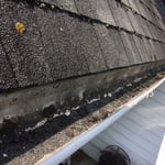Gutter Cleaning