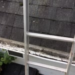 Gutter Cleaning