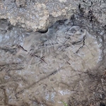 Sprinkler Head Reroute