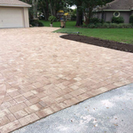 OUR WORK