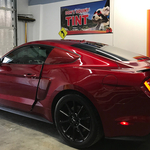 Mustang
