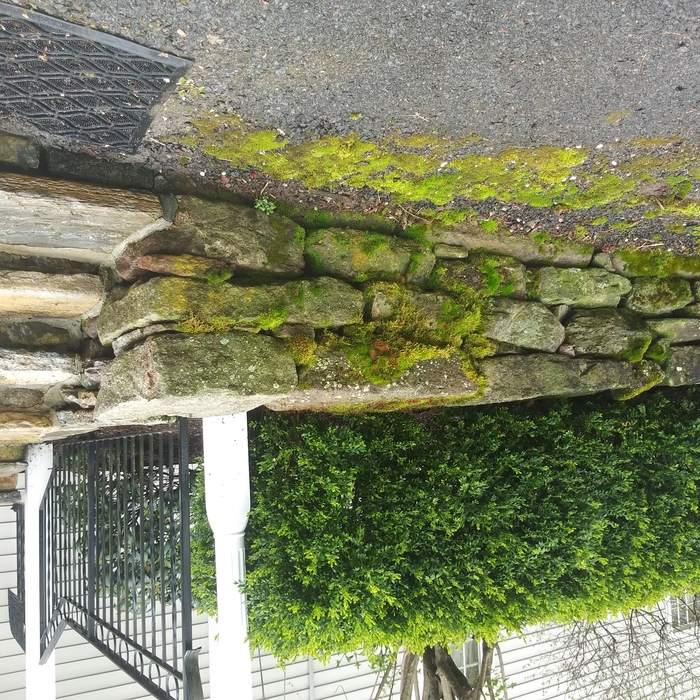 Power Washing Stone Wall and Porch