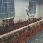 Pressure Washing