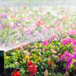 Irrigation