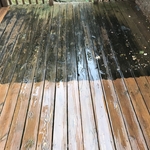 Deck W/ Extensive Mold