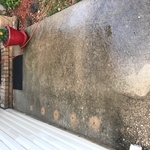 Front Sidewalk Before Power Washing