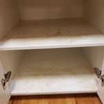 Cabinet Before & After