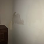Water damage in basement