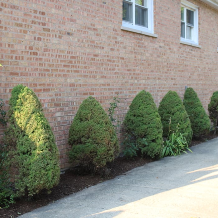Drive way after
