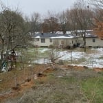 Tree Service