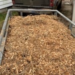 Tree Service