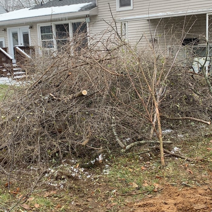 Tree Service
