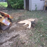 Partially ground stump