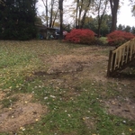 No more stumps!