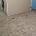 bedroom floor and hallway