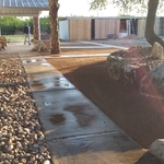 Xeriscape