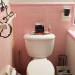 Bathroom remodel