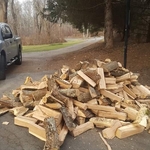Wood Pile/ Stack in a firewood shed