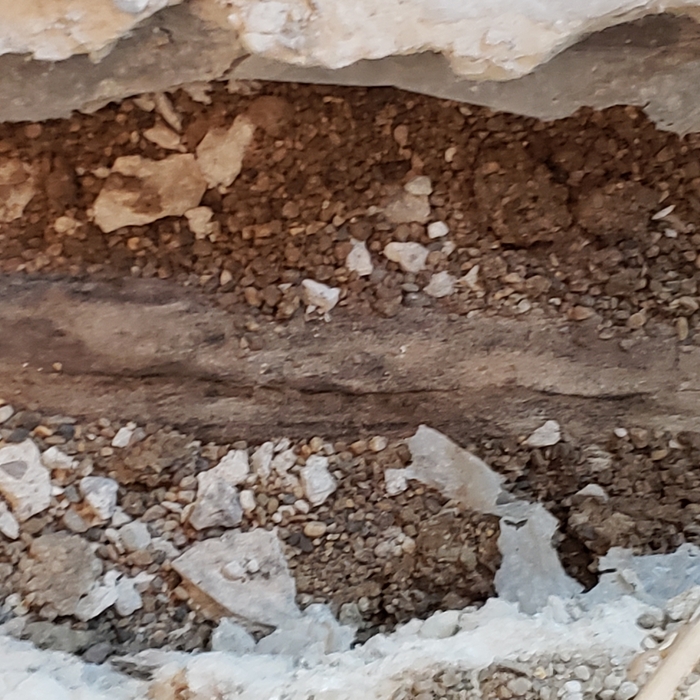 Cracked sewer pipe