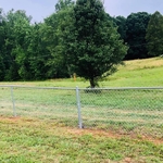 Galvanized Chain Link
