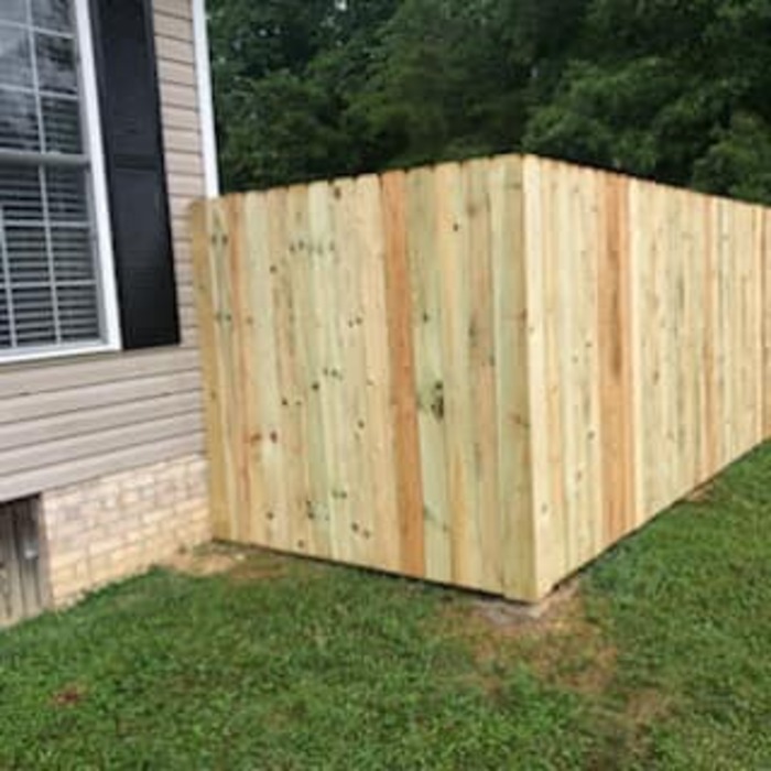 Treated Dog Ear Privacy