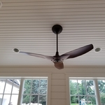 Ceiling fan and recessed lighting