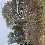 Before removal