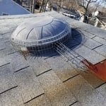 One Way Squirrel Tunnel