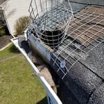 One Way Racoon Tunnel