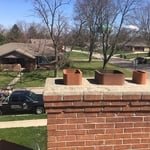Raccoon in Chimney- Centerville