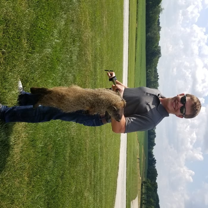 Groundhog