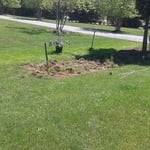 Landscaping Install