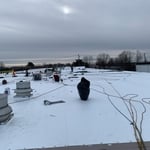 Mechanically attached single ply roof