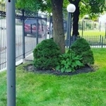 Trimming