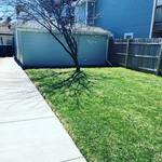 Spring Clean up