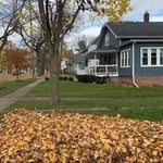 fall clean up