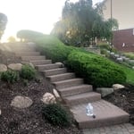 bush trimming