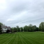 lawn care