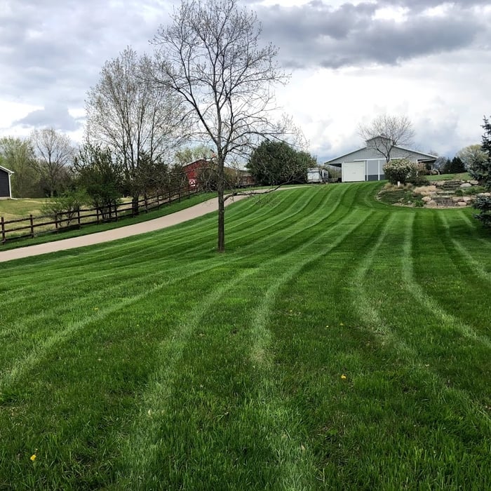 lawn care