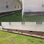 Bush trimming & Weed removal